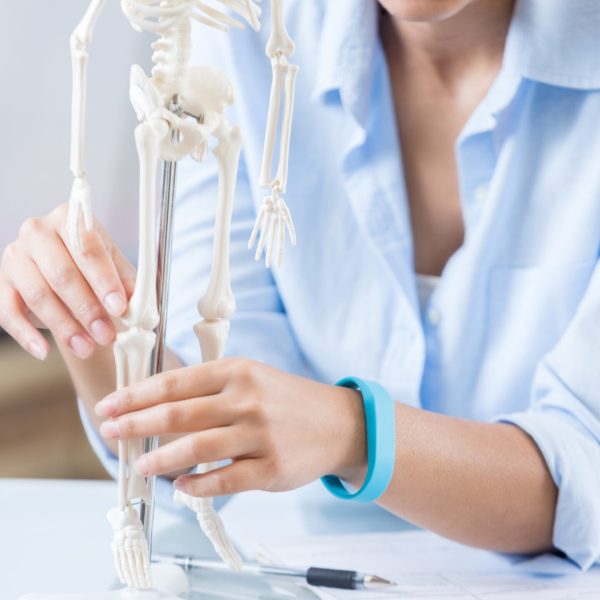 Osteoporose und Knochenerkrankungen